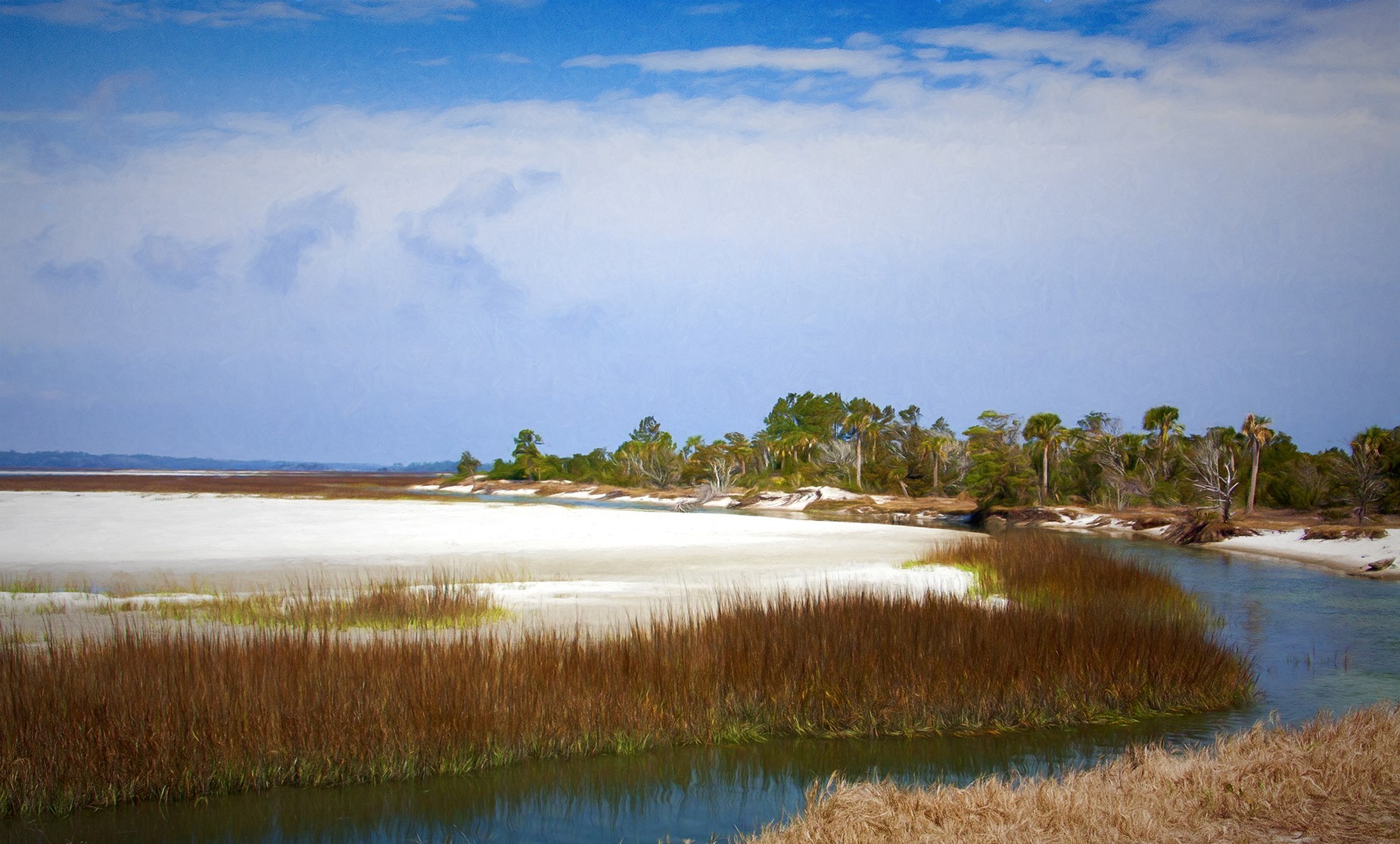 Amelia Island